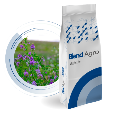 Blend Agro