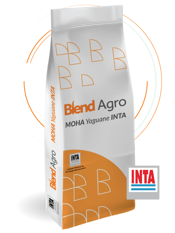 Blend Agro