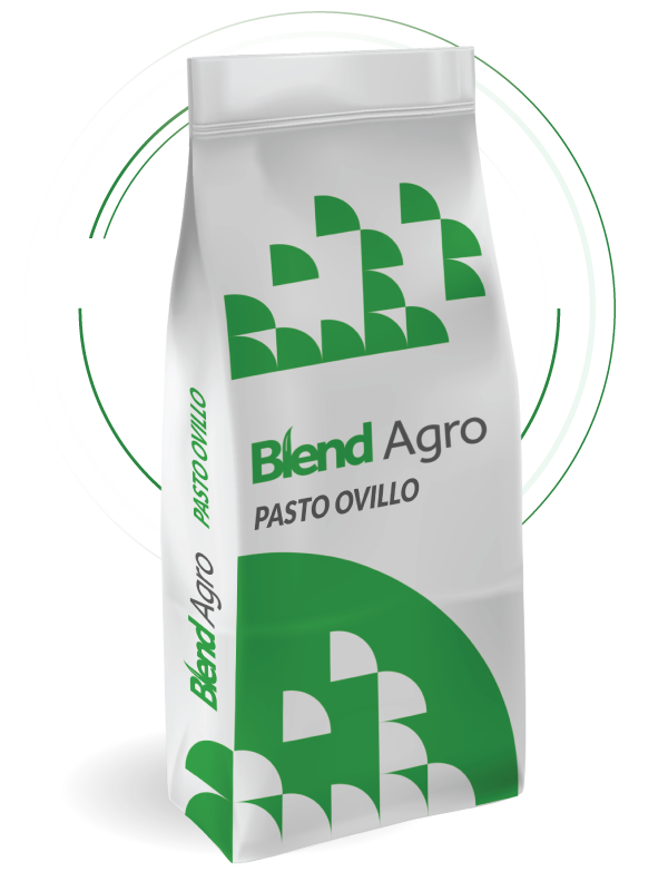 Blend Agro