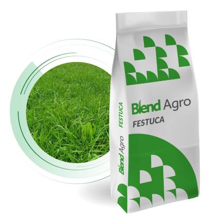Blend Agro