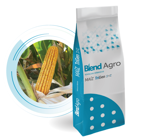 Blend Agro