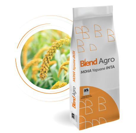 Blend Agro