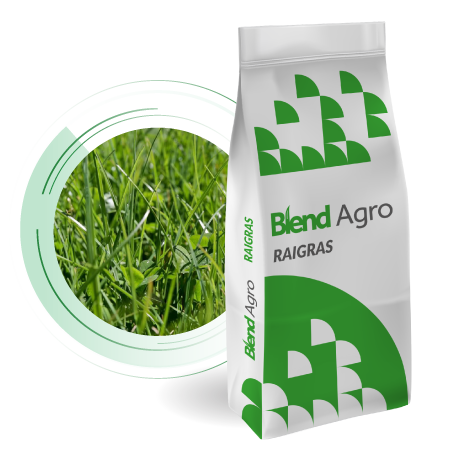 Blend Agro