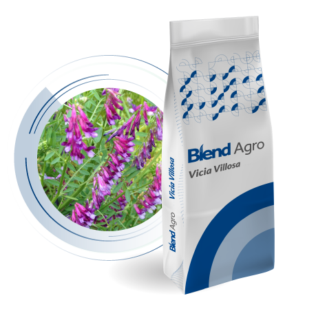 Blend Agro